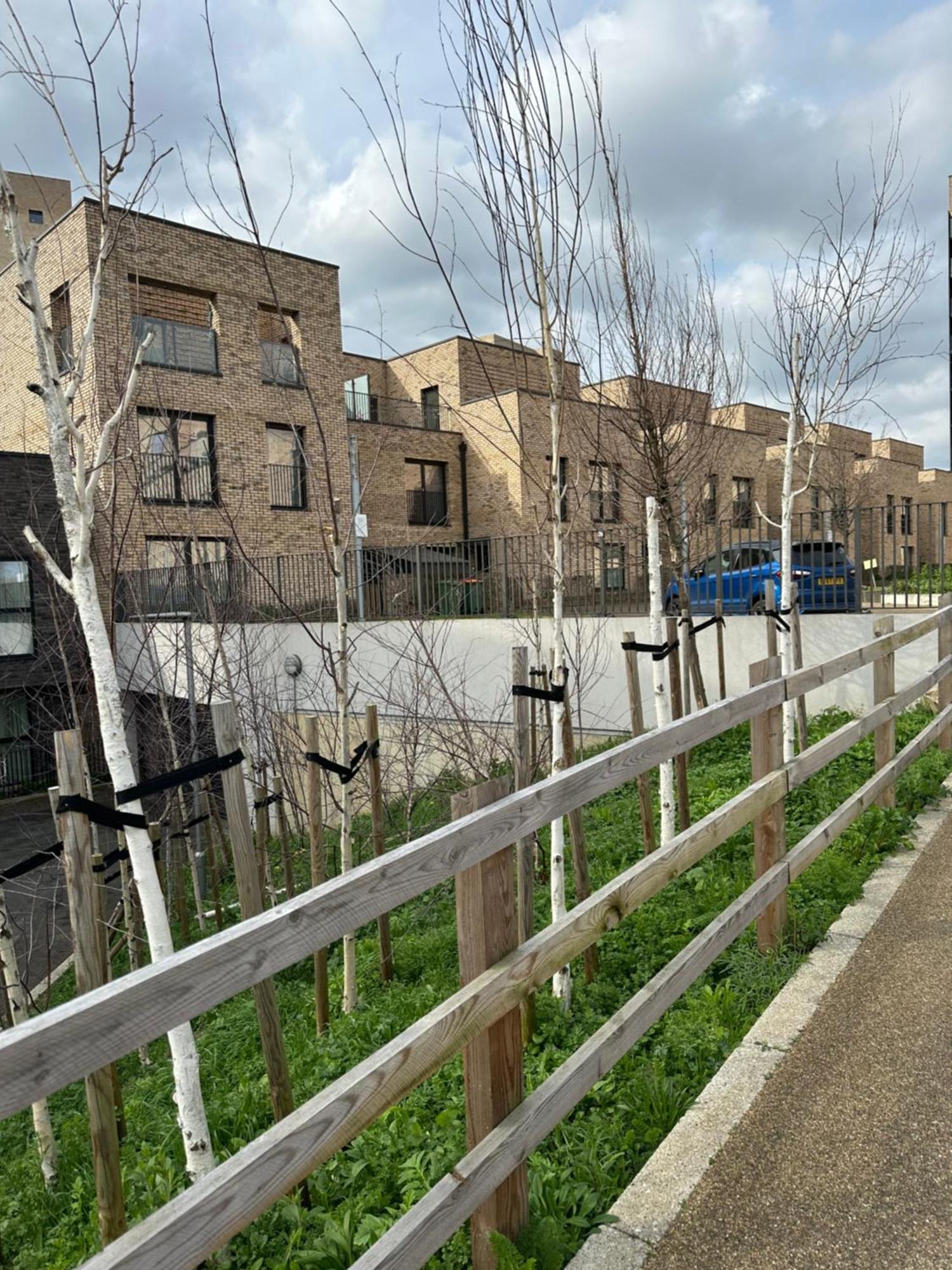 Luxury 3 Bedroom Flat In Stratford, London Bagian luar foto